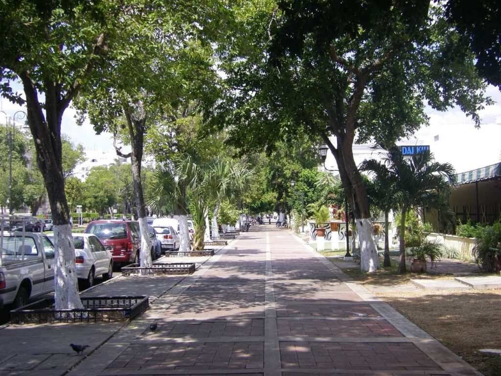 avenida Paseo Montejo
