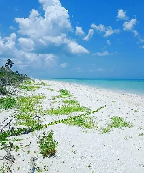 tour a la hermosa playa sisal desde merida 