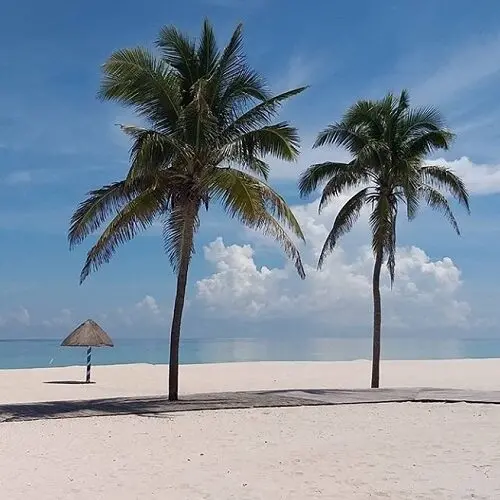 Tours privados en Mérida de un día a playa progreso y la reserva natural el corchito