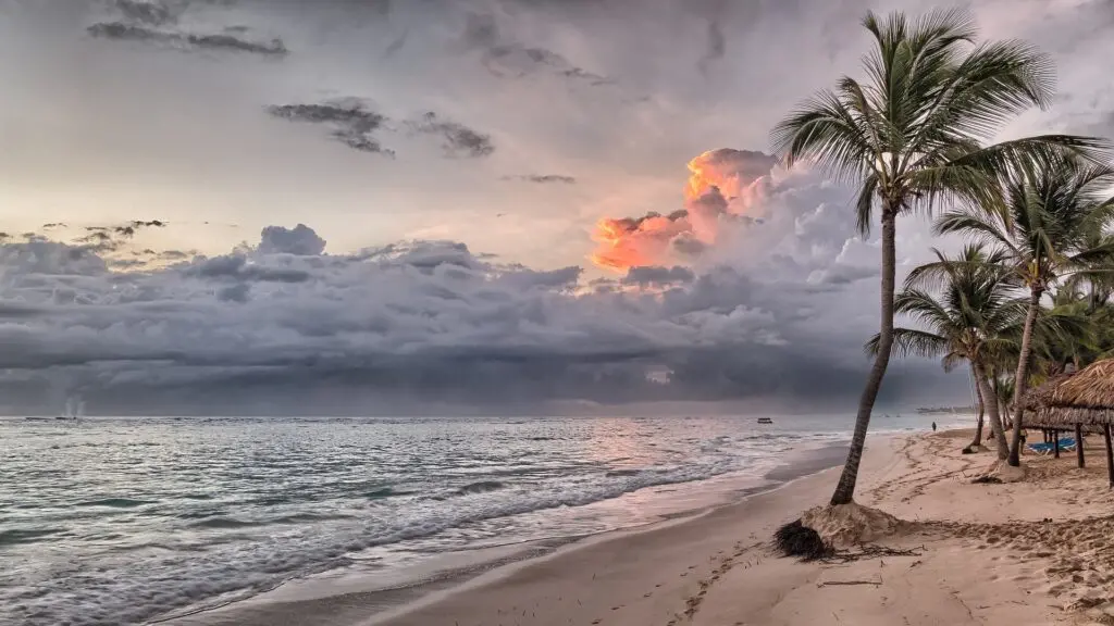 tour a playa celestun desde merida