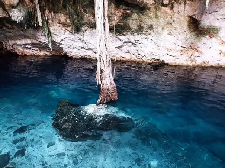 los mejores cenotes cerca de mérida yucatan 2024